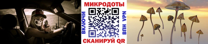 даркнет сайт  Бежецк  Псилоцибиновые грибы Psilocybe 